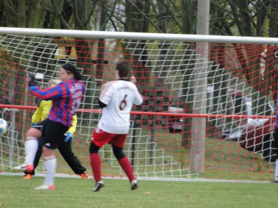 Foto des Albums: Mildenberg-HSV