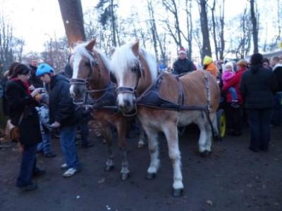 Foto des Albums: Weihnachtsmarkt Schloß Hoym Stiftung