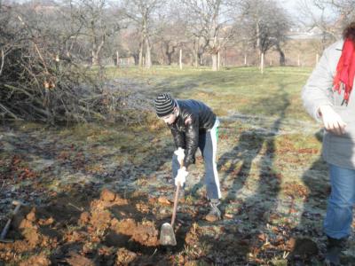 Foto des Albums: Waldschulheim 2012