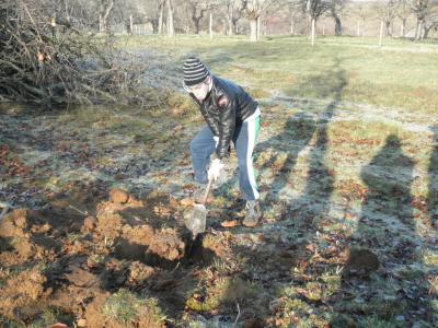 Foto des Albums: Waldschulheim 2012