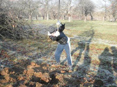 Foto des Albums: Waldschulheim 2012