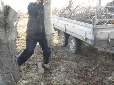 Foto des Albums: Waldschulheim 2012