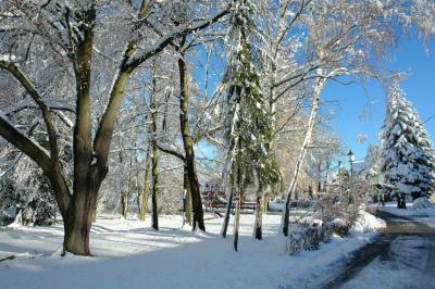 Foto des Albums: Hilbersdorfer Winterblicke 2012 / 2013