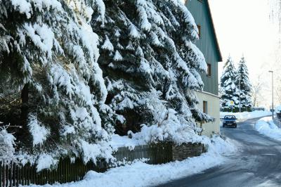 Foto des Albums: Hilbersdorfer Winterblicke 2012 / 2013