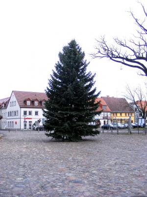 Foto des Albums: Weihnachtsbaumaufstellung 2012 Marktplatz Uebigau (30. 11. 2012)