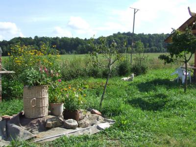 Foto des Albums: "Volkseigenes Gut" - Pension und Reiterstation Eisfeld