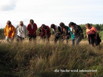 Foto des Albums: Bosselnachmittag