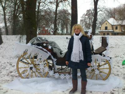 Foto des Albums: Weihnachtsmarkt in Wittstock 2012 (06.12.2012)