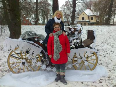 Foto des Albums: Weihnachtsmarkt in Wittstock 2012 (06.12.2012)