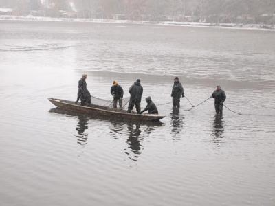 Foto des Albums: Ausflug zum Abfischen in Moritzburg (27. 10. 2012)