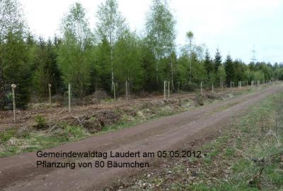 Fotoalbum Gemeindewaldtag am 05.05.2012