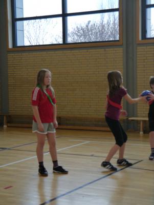 Foto des Albums: Sozialkompetenztraining der 4. Klassen