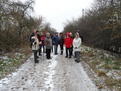 Foto des Albums: Grünkohlwanderung (23. 02. 2013)