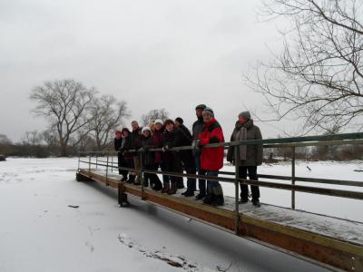 Foto des Albums: Grünkohlwanderung (23. 02. 2013)