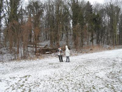 Foto des Albums: Grünkohlwanderung (23. 02. 2013)