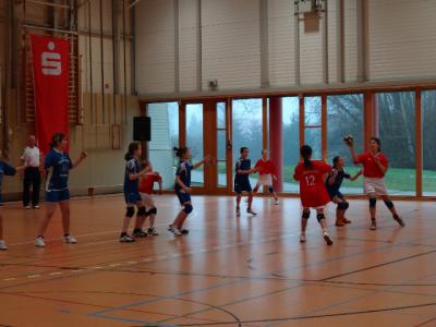 Foto des Albums: Handball - Regionalfinale Mädchen