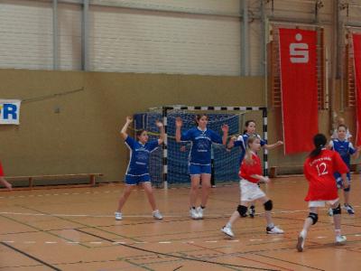Foto des Albums: Handball - Regionalfinale Mädchen