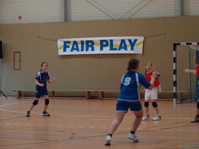 Foto des Albums: Handball - Regionalfinale Mädchen