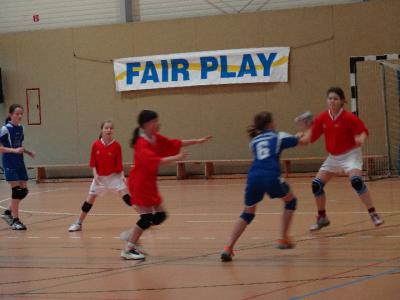 Foto des Albums: Handball - Regionalfinale Mädchen