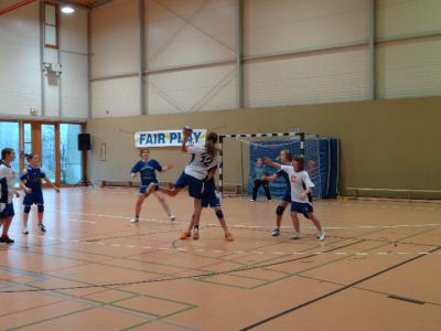 Foto des Albums: Handball - Regionalfinale Mädchen