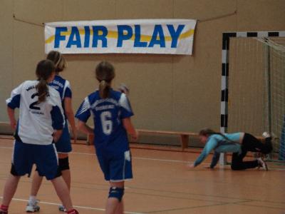Foto des Albums: Handball - Regionalfinale Mädchen