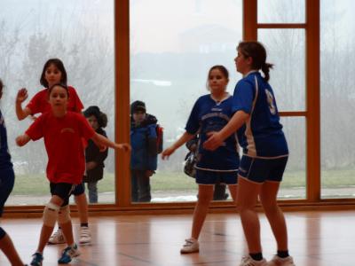 Foto des Albums: Handball - Regionalfinale Mädchen