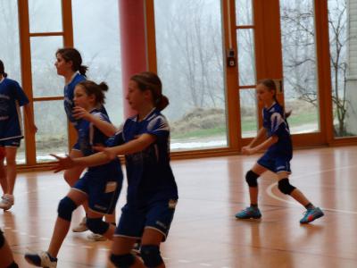 Foto des Albums: Handball - Regionalfinale Mädchen