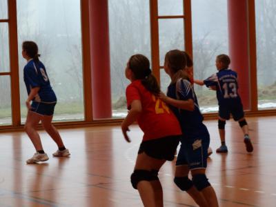 Foto des Albums: Handball - Regionalfinale Mädchen