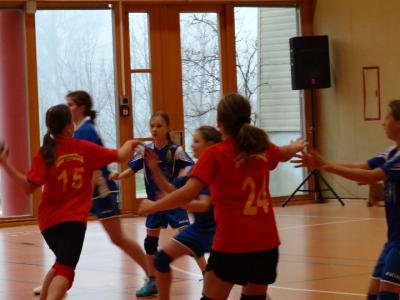 Foto des Albums: Handball - Regionalfinale Mädchen