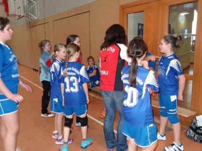 Foto des Albums: Handball - Regionalfinale Mädchen