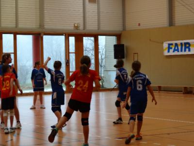 Foto des Albums: Handball - Regionalfinale Mädchen