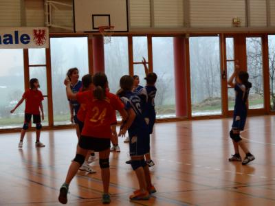 Foto des Albums: Handball - Regionalfinale Mädchen