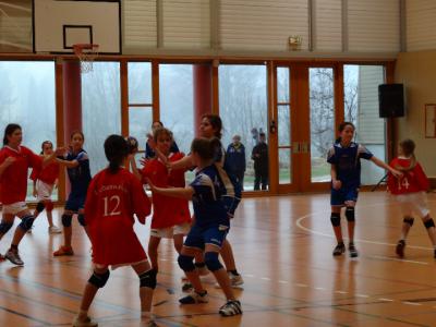 Foto des Albums: Handball - Regionalfinale Mädchen