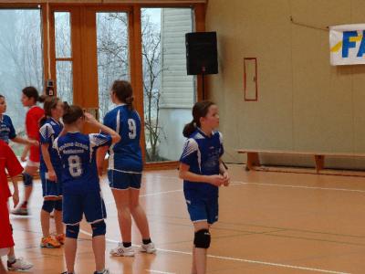 Foto des Albums: Handball - Regionalfinale Mädchen