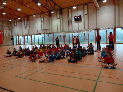 Foto des Albums: Handball - Regionalfinale Mädchen
