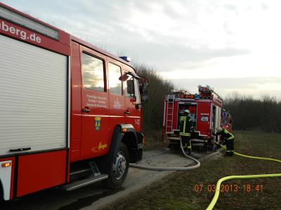 Foto des Albums: Flächenbrand 07.03.2013