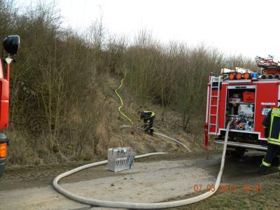 Foto des Albums: Flächenbrand 07.03.2013