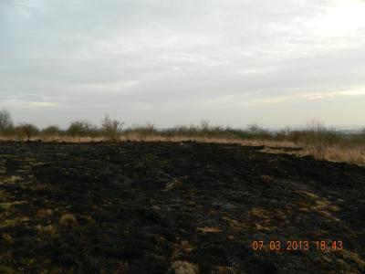Foto des Albums: Flächenbrand 07.03.2013