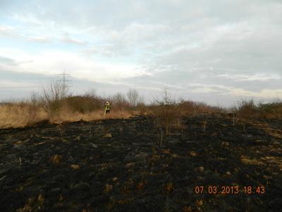 Foto des Albums: Flächenbrand 07.03.2013