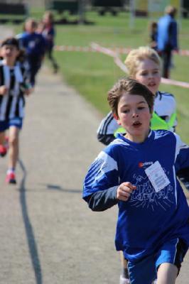 Foto des Albums: 14. Sparkassencrosslauf in Mildenberg