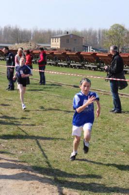 Foto des Albums: 14. Sparkassencrosslauf in Mildenberg