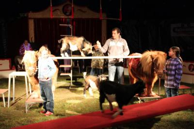 Foto des Albums: Projekt Zirkus - Mittwoch Gruppe A