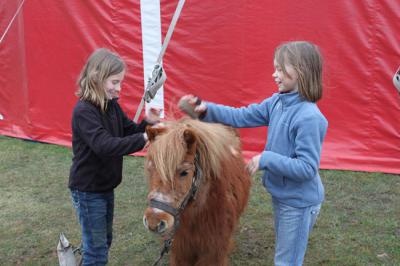 Foto des Albums: Projekt Zirkus - Mittwoch Gruppe B