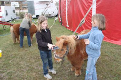Foto des Albums: Projekt Zirkus - Mittwoch Gruppe B