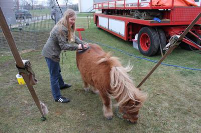 Foto des Albums: Projekt Zirkus - Mittwoch Gruppe B