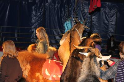 Foto des Albums: Projekt Zirkus - Mittwoch Gruppe B