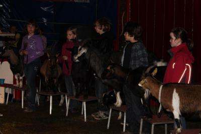 Foto des Albums: Projekt Zirkus - Mittwoch Gruppe B