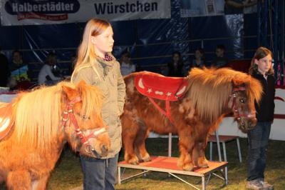 Foto des Albums: Projekt Zirkus - Mittwoch Gruppe B