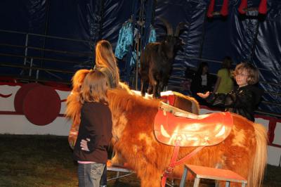 Foto des Albums: Projekt Zirkus - Mittwoch Gruppe B