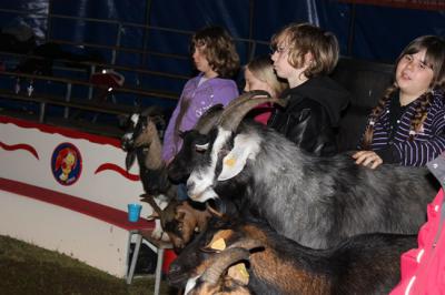 Foto des Albums: Projekt Zirkus - Mittwoch Gruppe B